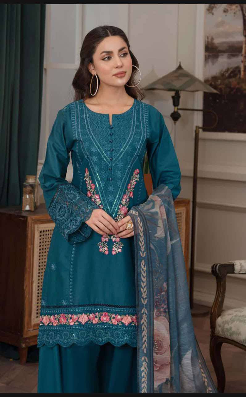 Salwar Kamiz Embroidered work